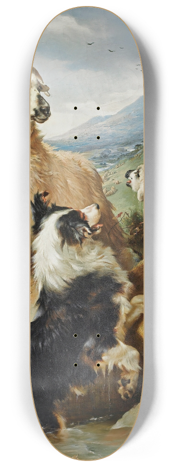 Walter Hunt - Rescued 8.25 inch art skate deck