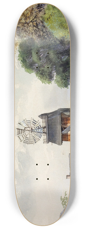Walter Paris - Florida Village 8.25 inch art skate deck