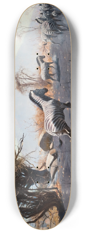Wilhelm Kuhnert - Zebras 8.25 inch art skate deck