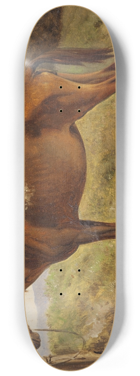 Wilhelm Marstrand - Rosinante (Study of an old standing horse) 8.25 inch art skate deck