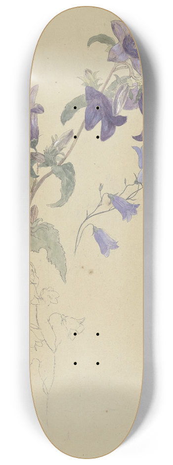 Wilhelm Steinhausen - Bluebells 8.25 inch art skate deck