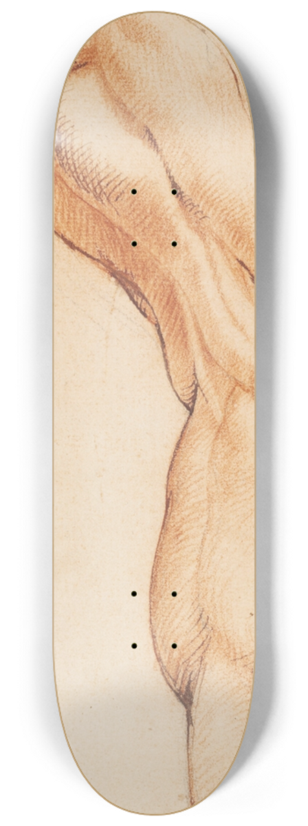 Willem Panneels - Anatomical Study (corch). A mans flayed right leg seen from the back, turned to the right 8.25 inch art skate deck