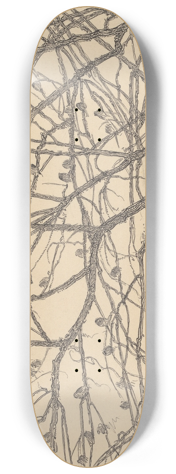 Willem Pothast - Boomtakken 8.25 inch art skate deck