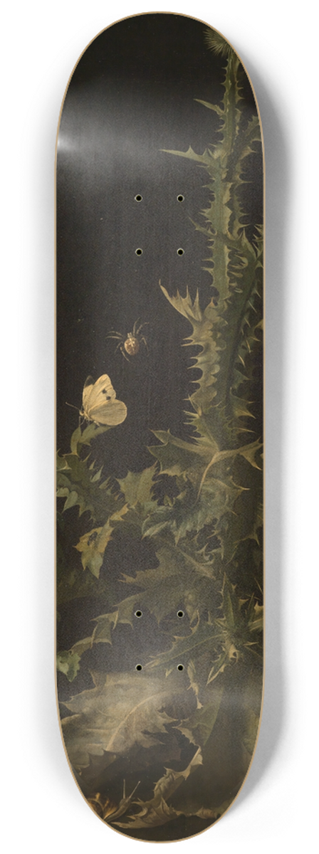 Willem van Aelst - Distel mit verschiedenen Tieren 8.25 inch art skate deck