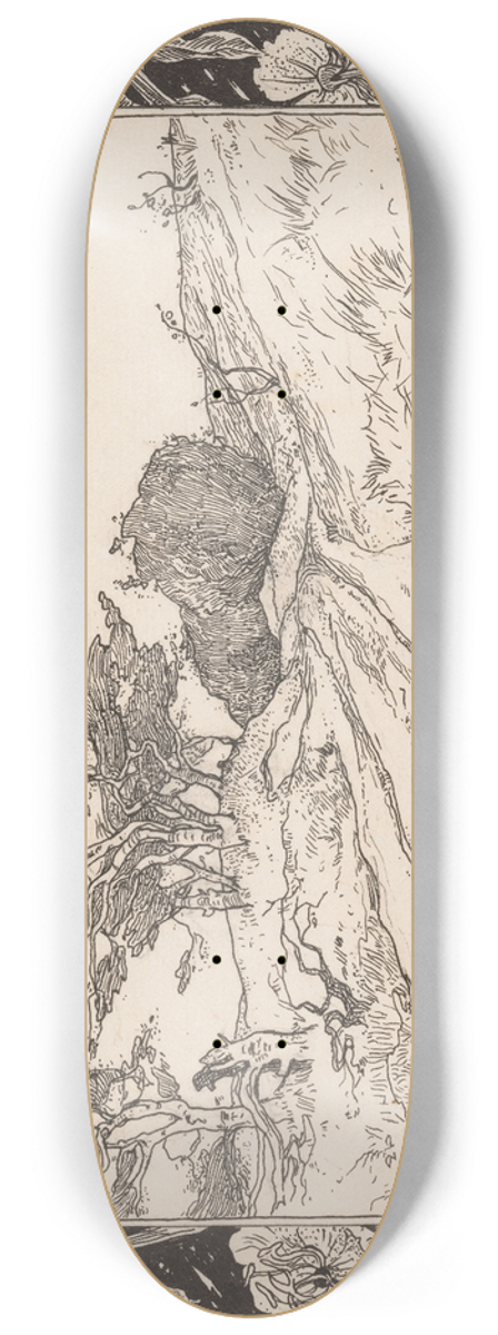 Willem Wenckebach - Duinlandschap met helmgras 8.25 inch art skate deck