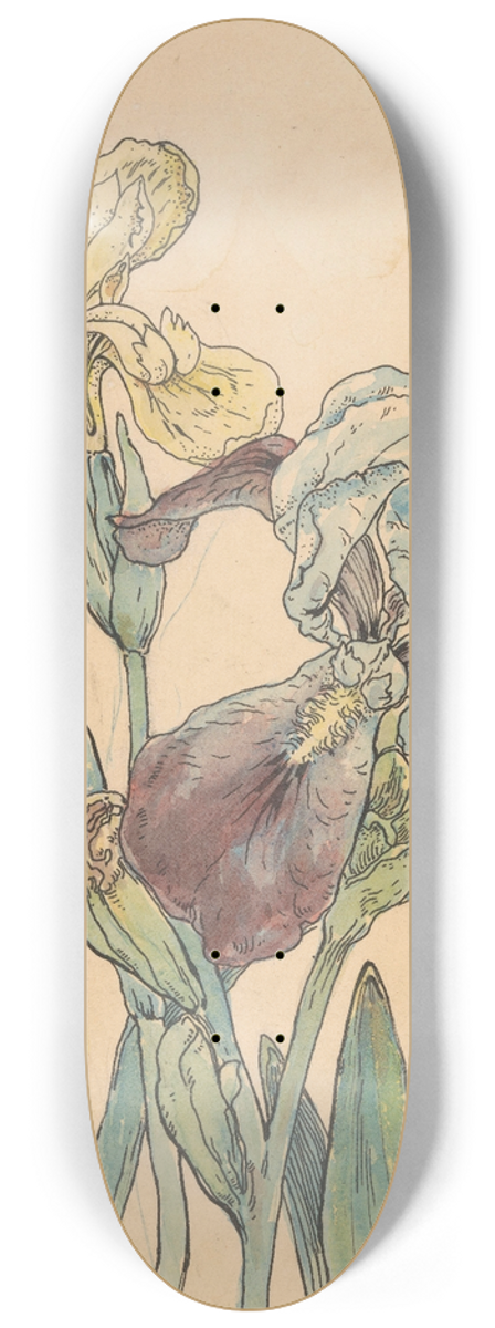 Willem Wenckebach - Iris 8.25 inch art skate deck
