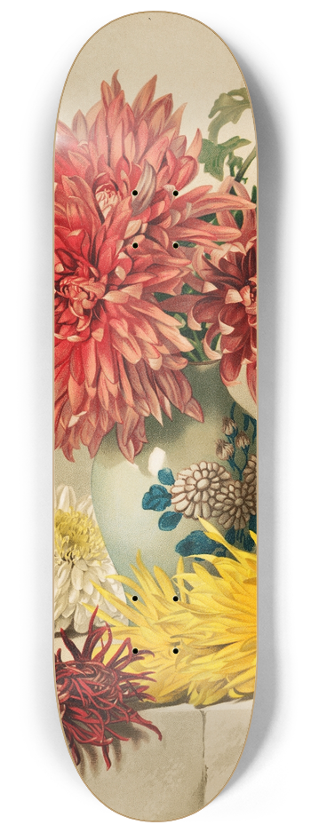 William Duffield - Chrysanthemums 8.25 inch art skate deck