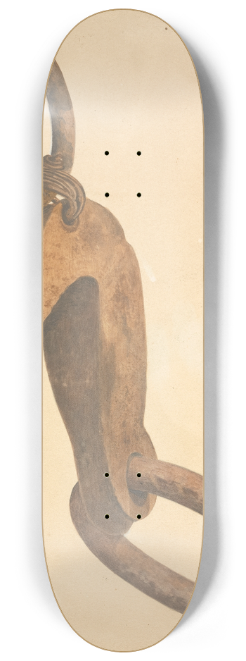 William Frank - Anchor Trip Hook 8.25 inch art skate deck