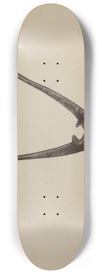 William Frank - Bullet Mold 8.25 inch art skate deck