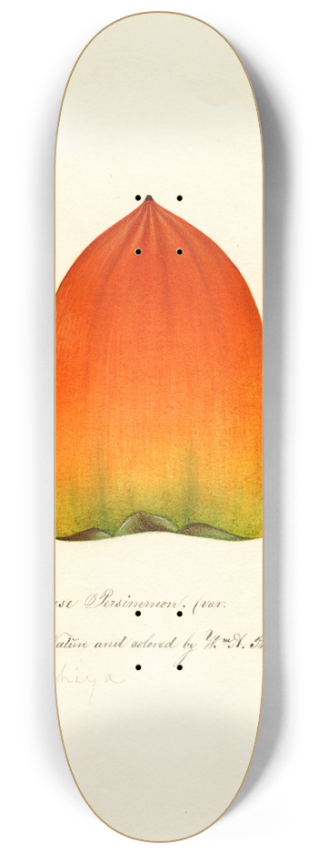 William Henry Prestele - Diospyros: Hachiya 8.25 inch art skate deck