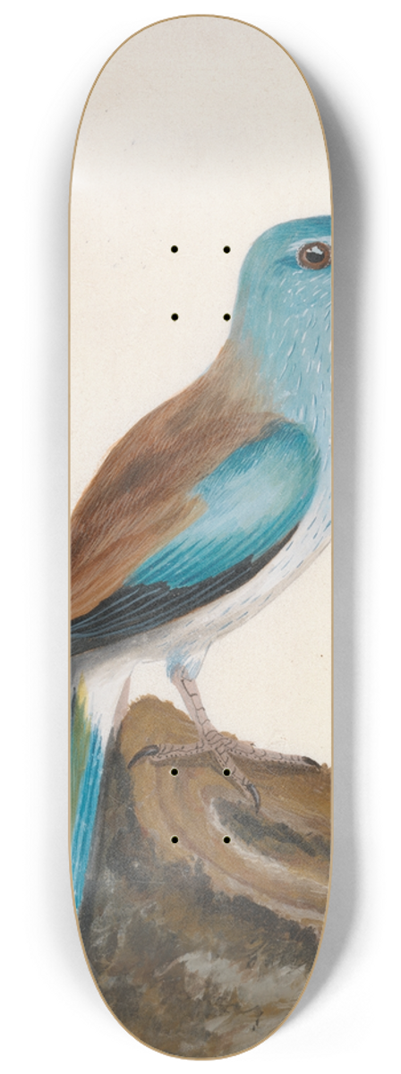 William Lewin - Garrulous Roller 8.25 inch art skate deck