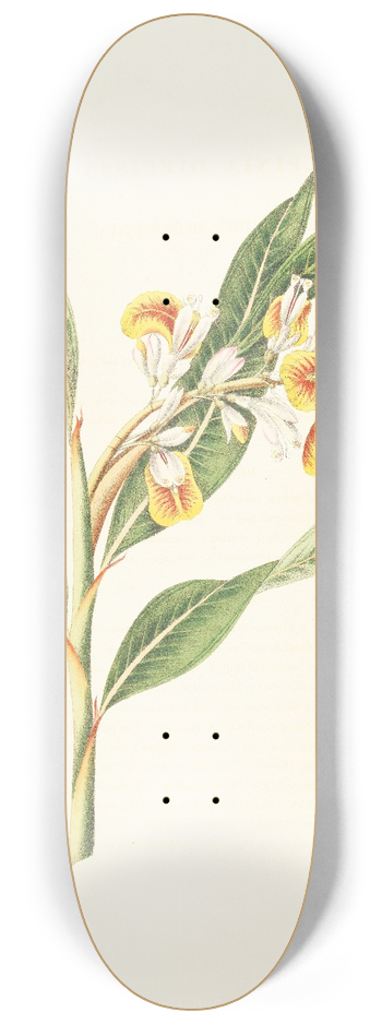 William Roscoe - Monandrian Plants 8.25 inch art skate deck