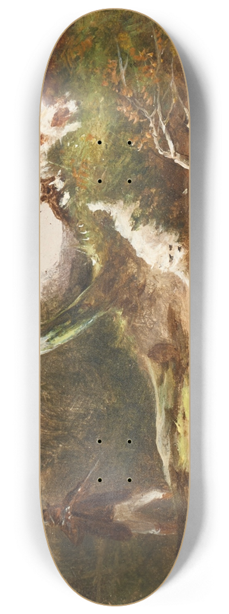 William Shayer - Shooting group 8.25 inch art skate deck