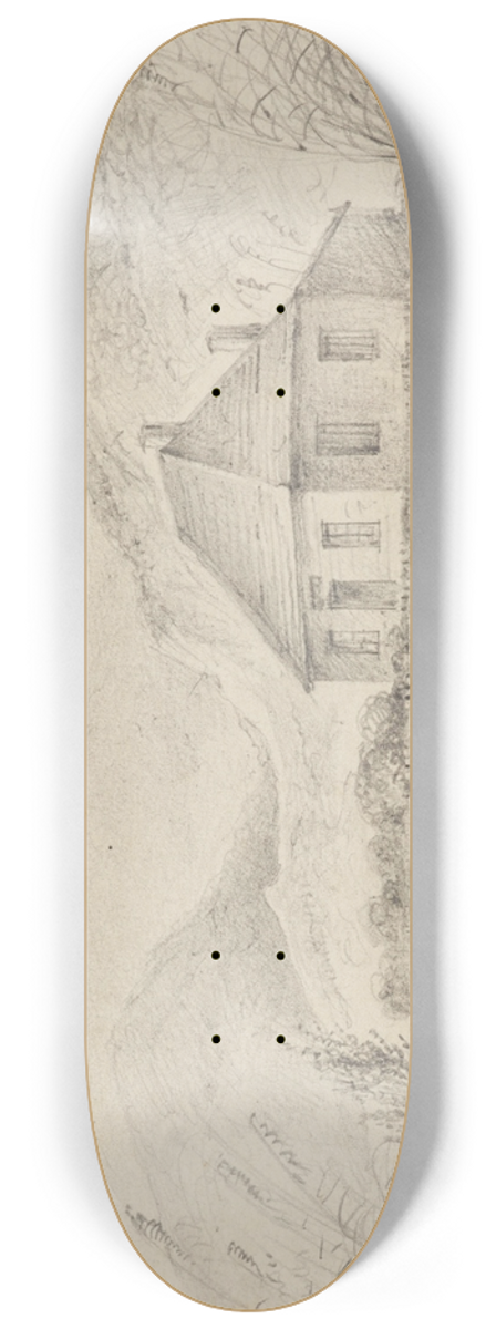 William Swainson - Major Duries, Waikanae 8.25 inch art skate deck