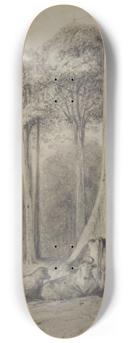 William Swainson - White pines, Hutt Forest 8.25 inch art skate deck