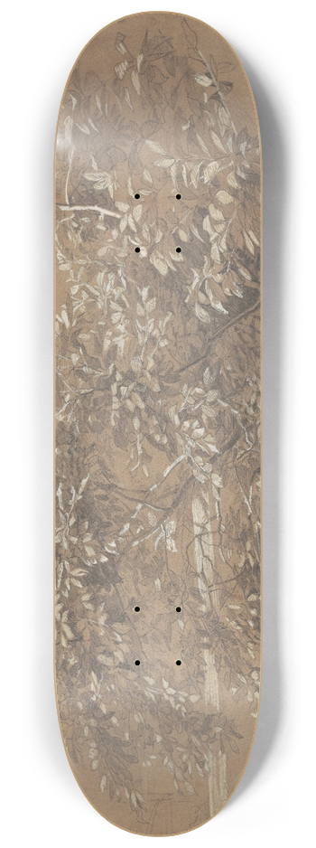 William Trost Richards - Foliage 8.25 inch art skate deck