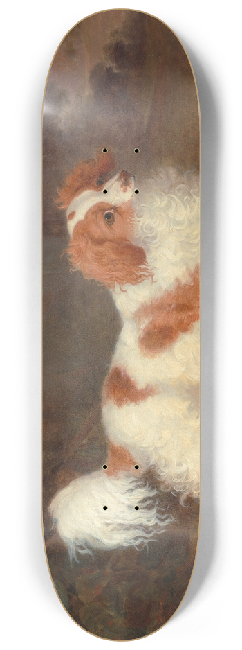 William Webb - A Blenheim Spaniel 8.25 inch art skate deck