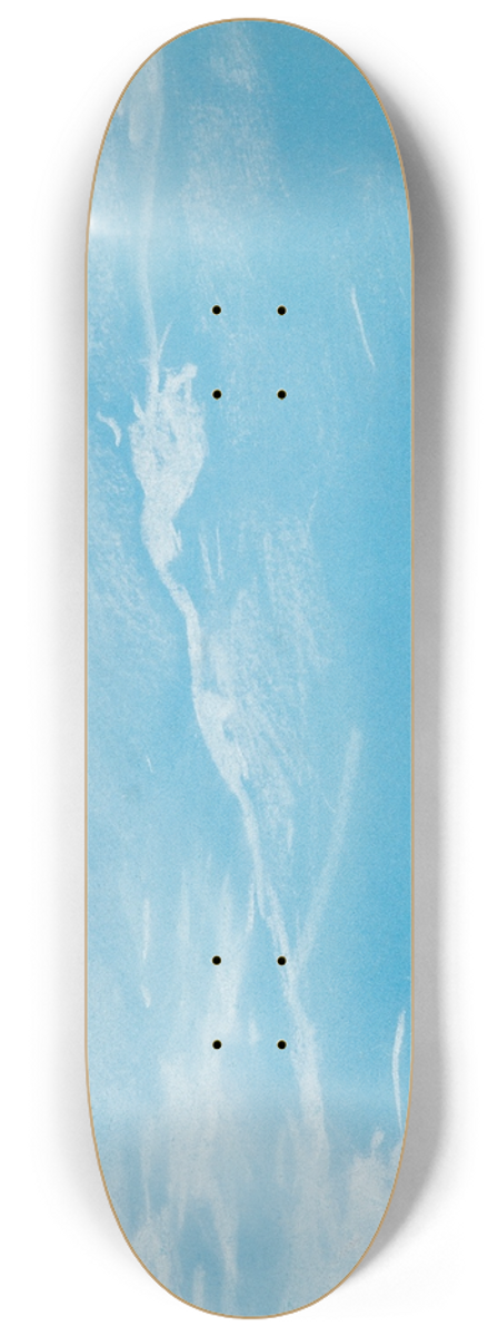 Winslow Homer - Seagull and Waves 8.25 inch art skate deck