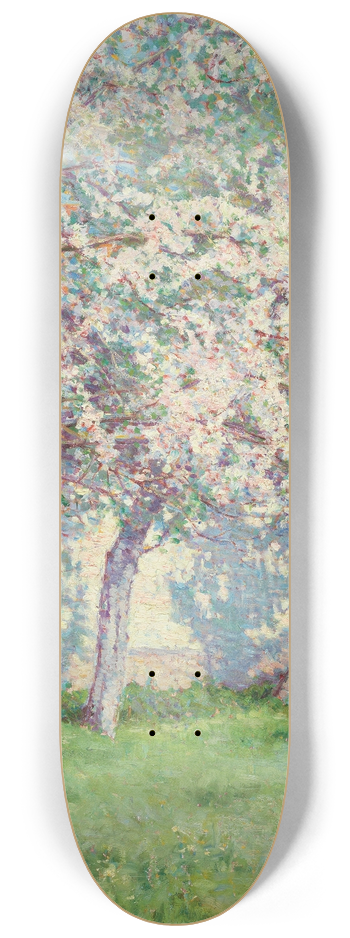 Wynford Dewhurst - A sunny ciel from France 8.25 inch art skate deck