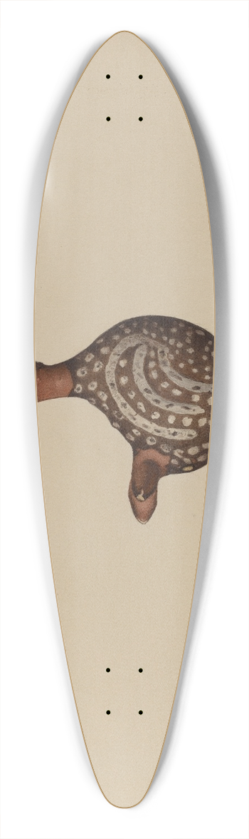 Aaron Fastovsky - Earthenware Bird 39.3 inch art pintail longboard deck