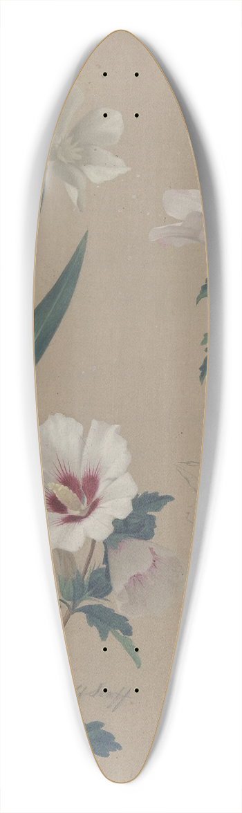 Adolf Senff - Study of Hibiscus Plants 39.3 inch art pintail longboard deck