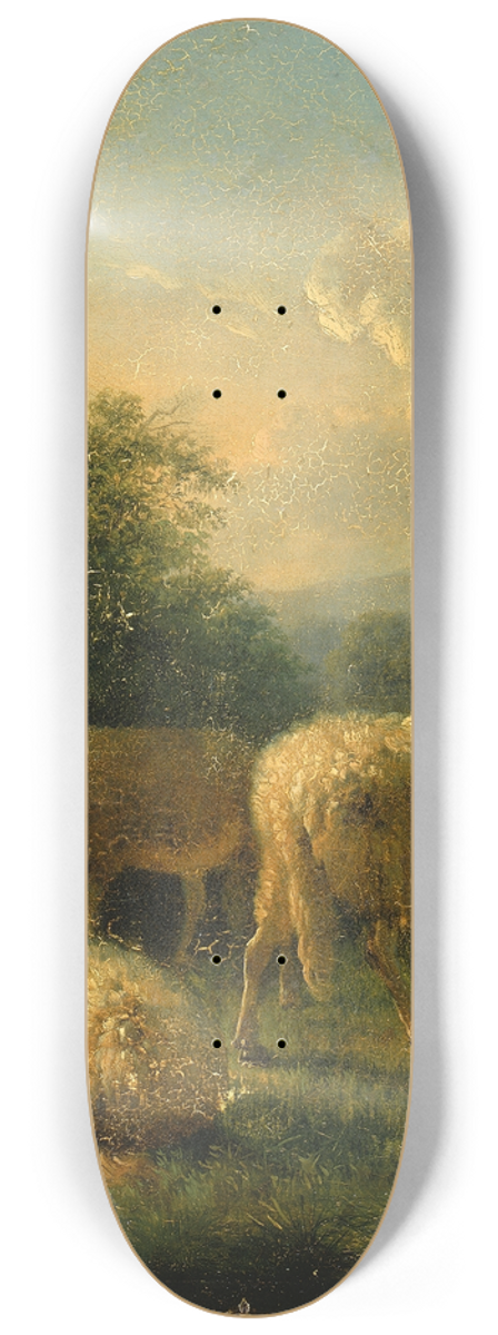 Balthasar Paul Ommeganck - Sheep 8.25 inch art skate deck