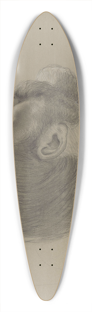Adolph Tidemand - Mannshode 39.3 inch art pintail longboard deck