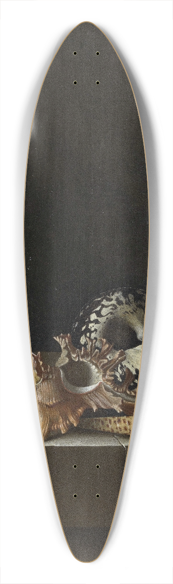 Adriaen Coorte - Shells on a Stone Plinth 39.3 inch art pintail longboard deck
