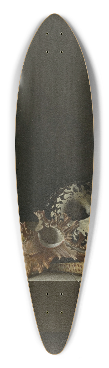 Adriaen Coorte - Shells on a Stone Plinth 39.3 inch art pintail longboard deck