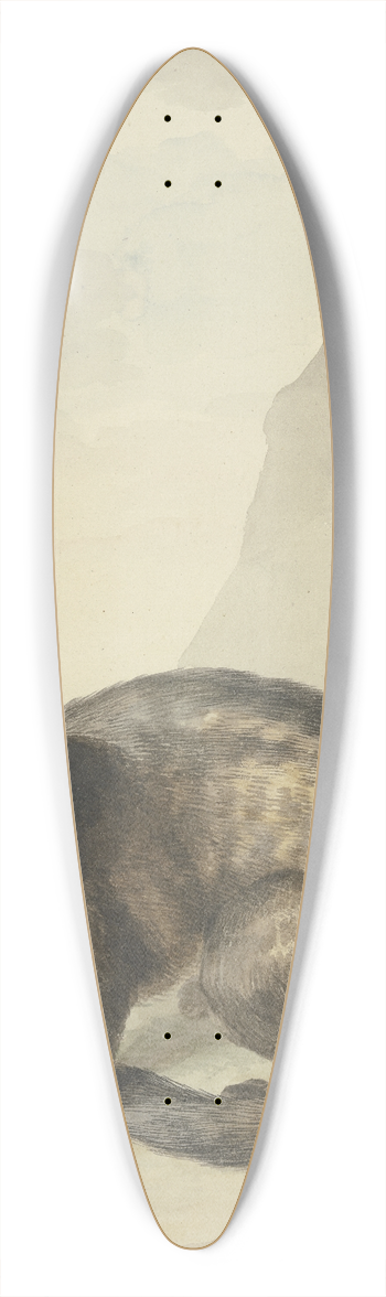 Aert Schouman - Een vreemde Levet-Kat 39.3 inch art pintail longboard deck