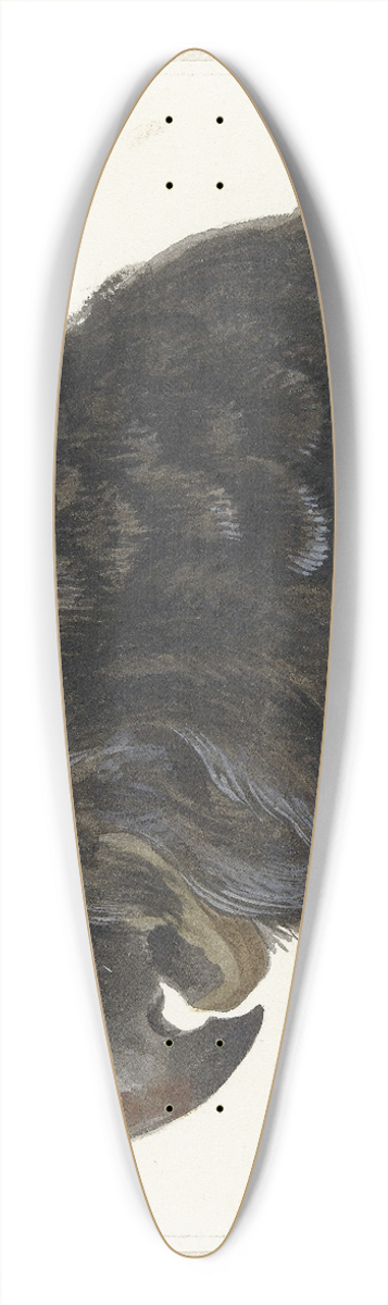 Aert Schouman - Head of a Cockatoo 39.3 inch art pintail longboard deck