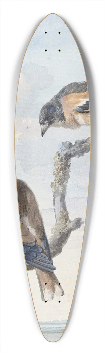 Aert Schouman - Twee vogels; een appelvink (Coccothraustes coccothraustes) en een keep (Fringilla montifringilla) 39.3 inch art pintail longboard deck