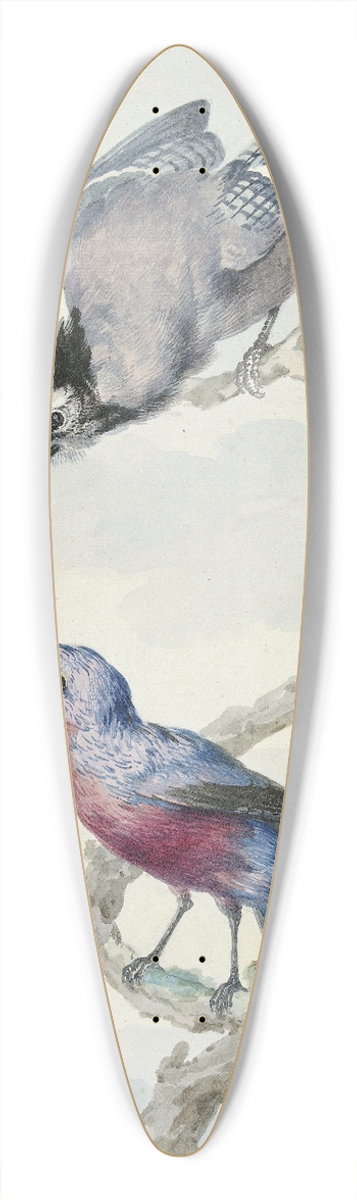 Aert Schouman - Twee vogels; een blauwe gaai en een purperborstcotinga 39.3 inch art pintail longboard deck