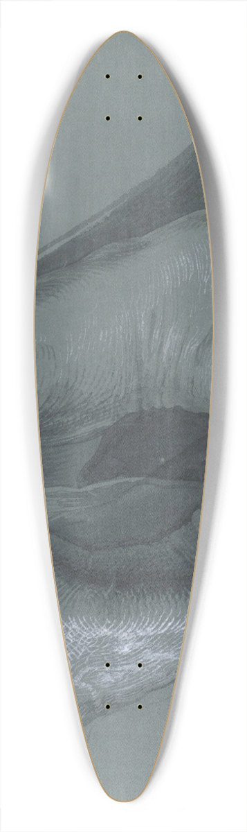 Albrecht Drer - Study of Two Feet 39.3 inch art pintail longboard deck