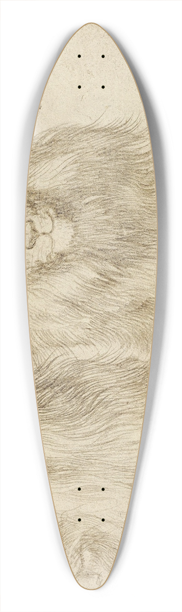 Albrecht Drer - Two seated lion 39.3 inch art pintail longboard deck