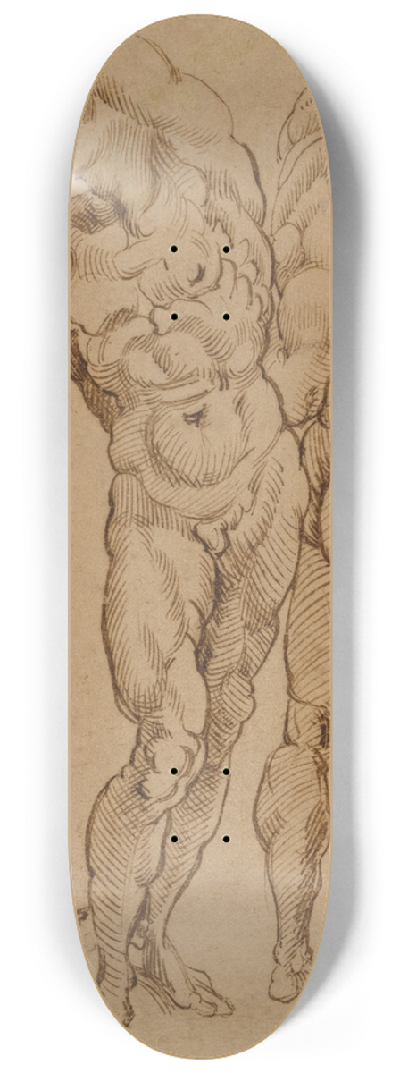 Bartolomeo Passarotti - Nude Studies 8.25 inch art skate deck