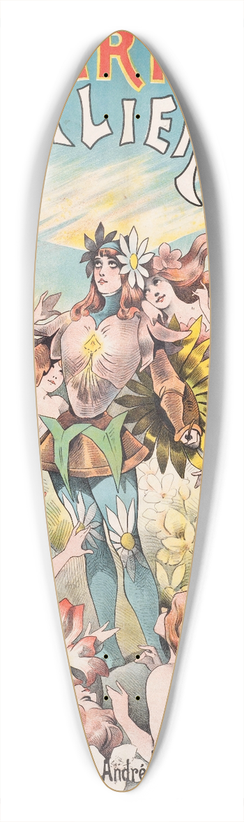 Alfred Choubrac - Le Chevalier Aux Fleurs 39.3 inch art pintail longboard deck