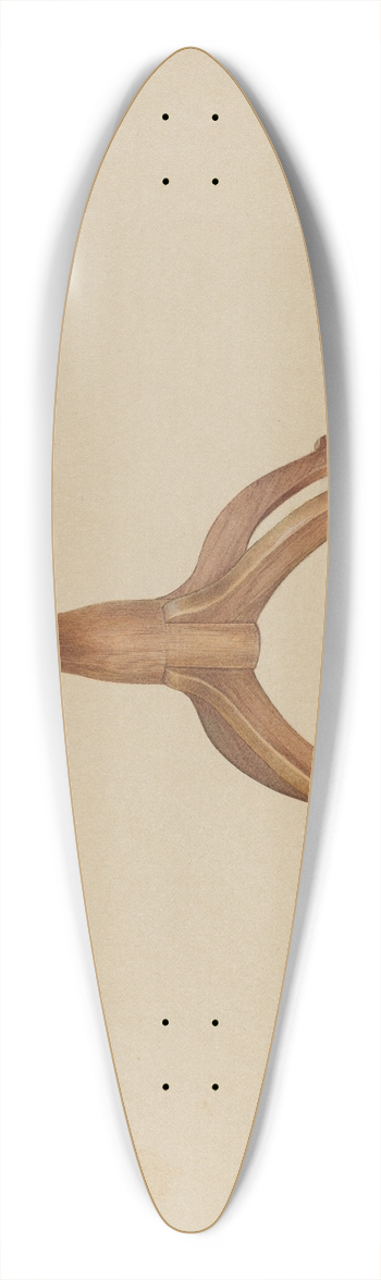 Alfred H. Smith - Table 39.3 inch art pintail longboard deck
