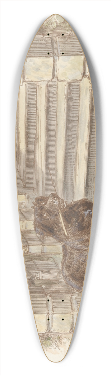 Alfred W. Cooper - The Young Squire (tail piece) 39.3 inch art pintail longboard deck