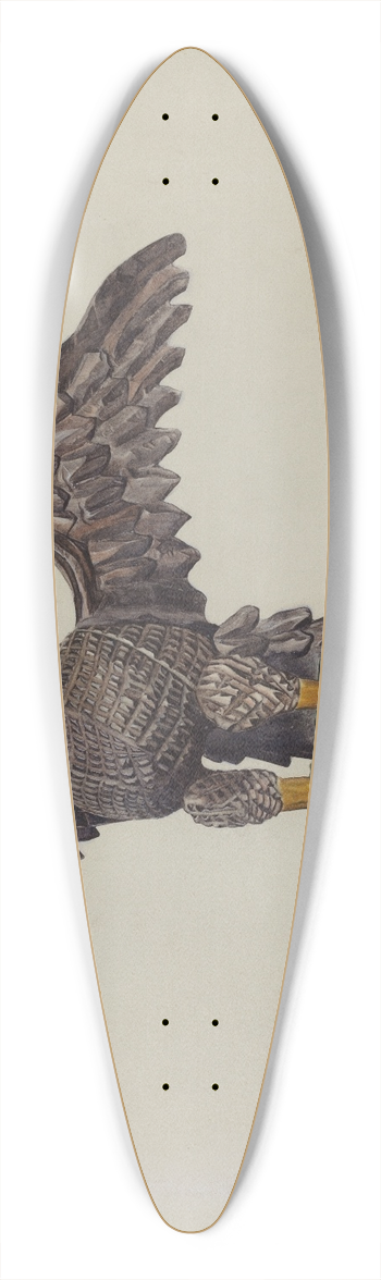 Alice Domey - Eagle 39.3 inch art pintail longboard deck
