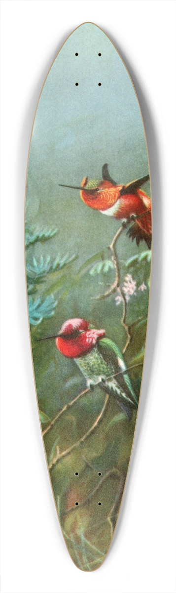 Allan Brooks - Rufous and Annas humming birds 39.3 inch art pintail longboard deck