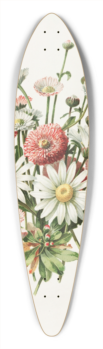 Alois Lunzer - Daisies 39.3 inch art pintail longboard deck
