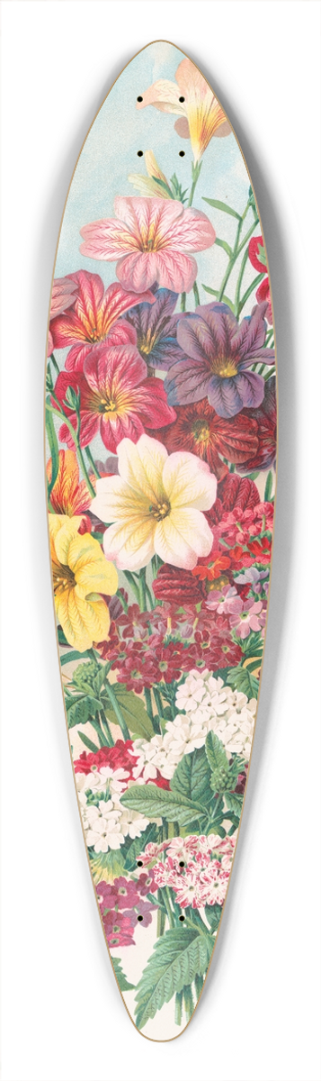 Alois Lunzer - Mandeville & King Co., superior flower seeds, salpiglossis and verbenas 39.3 inch art pintail longboard deck