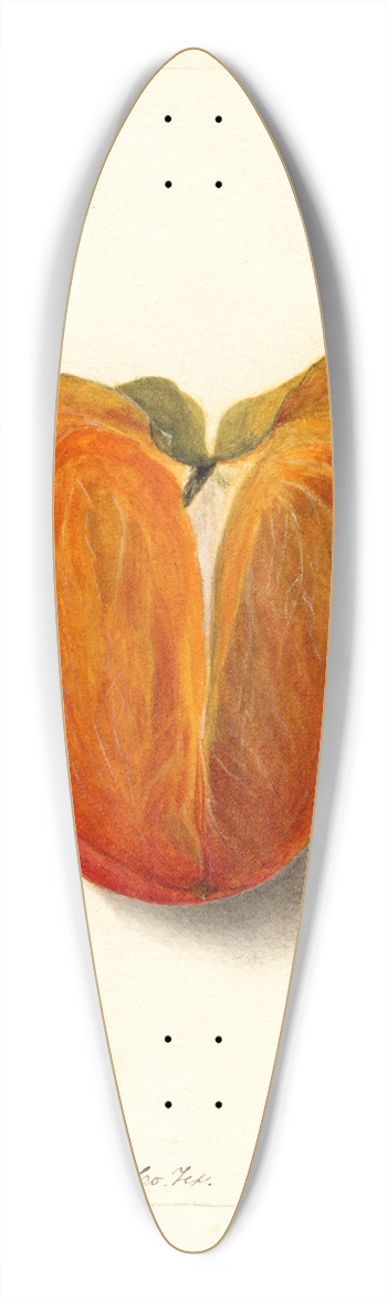 Amanda Almira Newton - Diospyros: Hachiya 39.3 inch art pintail longboard deck