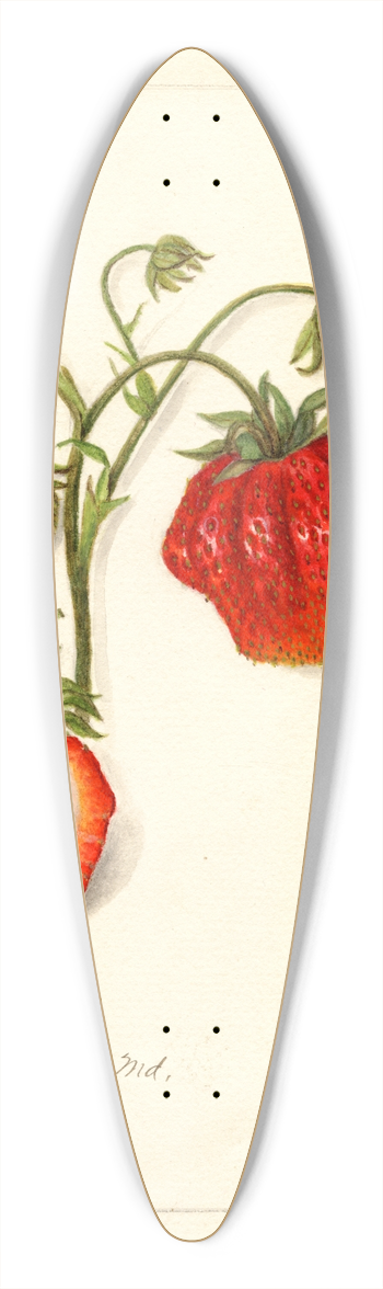 Amanda Almira Newton - Fragaria: Dew 39.3 inch art pintail longboard deck
