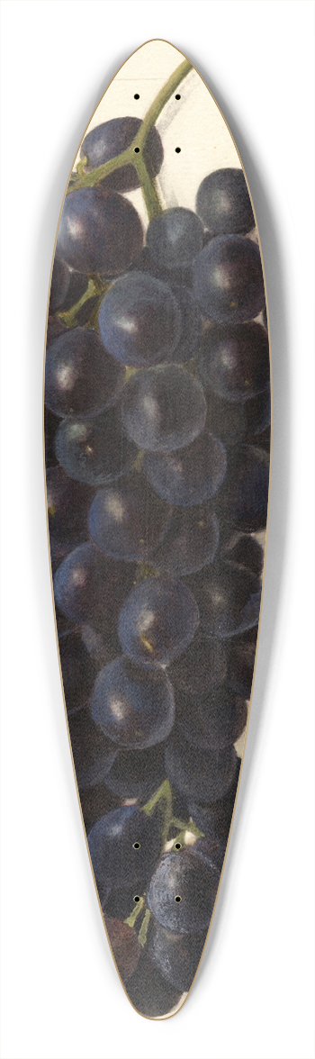 Amanda Almira Newton - Vitis: Goolabie 39.3 inch art pintail longboard deck