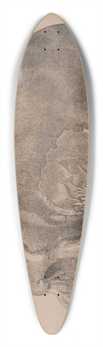 Andreas Flinch - Kranium 39.3 inch art pintail longboard deck