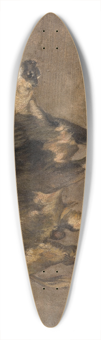 Andre Plumot - Bull 39.3 inch art pintail longboard deck