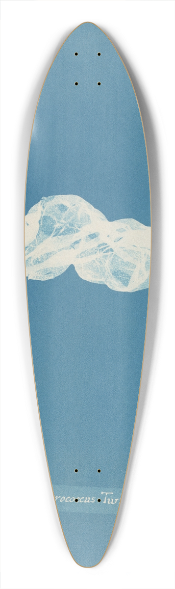 Anna Atkins - Asperococcus Turneri 39.3 inch art pintail longboard deck