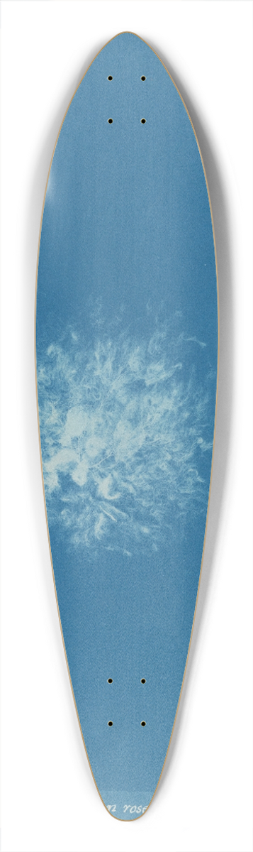Anna Atkins - Callithamnion roseum 39.3 inch art pintail longboard deck